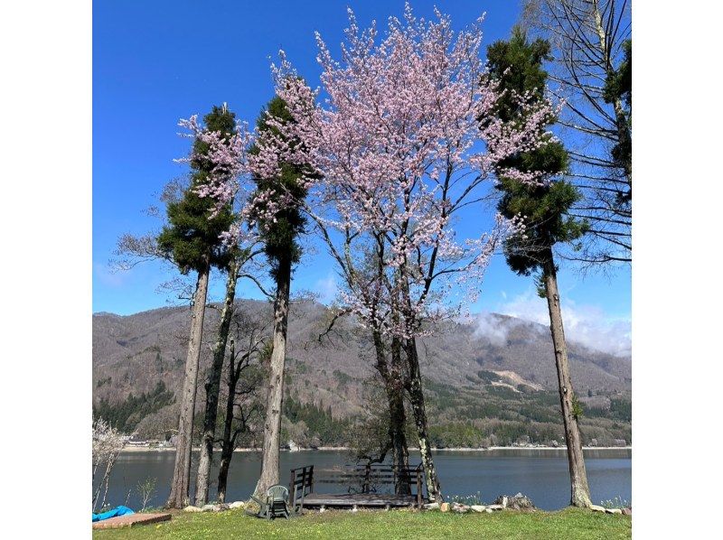 [Nagano, Lake Aoki SUP] Spring at Lake Aoki! SUP rental for a full 2 ​​hours!の紹介画像