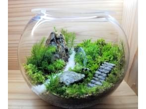 [Yodogawa-ku, Osaka] Moss terrarium making \ 15cm diameter container plan / Recommended for couples and gifts ♪ Moss interior