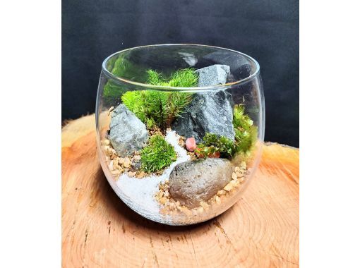[Yodogawa-ku, Osaka] Making a moss terrarium \ 8cm diameter flat container with lid plan / Recommended for couples and first-timersの画像
