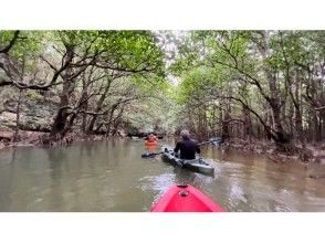 [Okinawa, Ishigaki Island] Mangrove Kayak Tour with Lunch (Yaeyama Soba)の画像