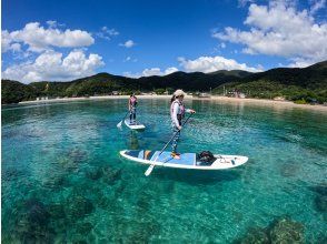 [Enjoy SUP rental plan on the natural heritage site of Amami Oshima] 3 hours in the morning or afternoon. Beginners and men are welcome!の画像