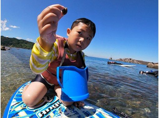 【宮崎・日南/シュノーケル・SUPツアー】ビーチワルンハダシ集合：海の生き物を探しにサップで海へ遊びに行こう！子供の自然体験の画像