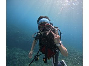 [Okinawa Motobu, Sesoko Island/Minna Island] Experience diving by boat near the Churaumi Aquarium! Beginners welcome! の画像