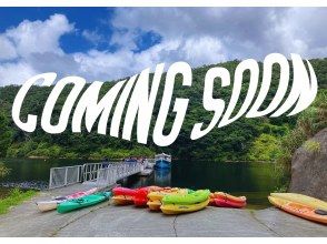 [Golden Week Limited] Mangrove Forest Kayakingの画像