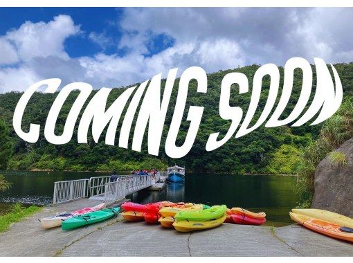 [Golden Week Limited] Mangrove Forest Kayakingの画像
