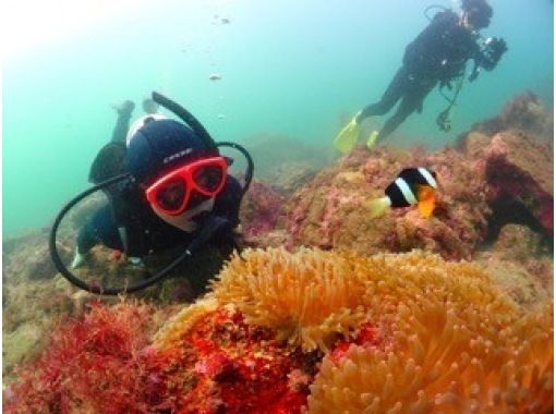 仕事帰りの夜発で伊豆に、2泊2日の宿泊プラン。「ダイビングライセンス講習2(3)日」の画像