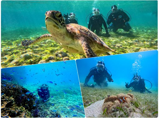 [Full-face mask private diving experience (you can breathe safely and easily without getting your face wet)] Hot shower & changing tent available, GoPro free of charge, pick-up available [Miyakojima]の画像