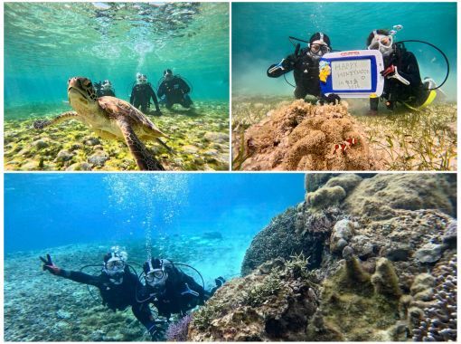 [Full-face mask private diving experience (you can breathe safely and easily without getting your face wet)] Hot shower & changing tent available, GoPro free of charge, pick-up available [Miyakojima]の画像