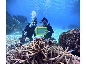 [Okinawa, Miyakojima] No cancellation fee, no worries! Experience diving safely and comfortably with the latest equipment and full-face mask! Free rental of the latest GoPro! Pick-up and drop-off available.の画像
