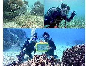 Special OPEN price! No cancellation fee, book with peace of mind! Experience diving safely and comfortably with a full face mask and new equipment! GoPro is free! Pick-up and drop-off available [Miyakojima]の画像