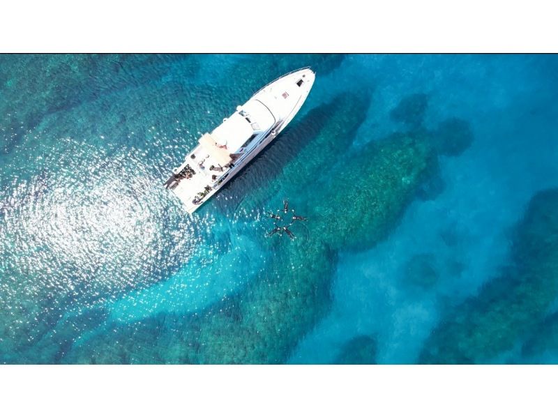 BLUE SEEKの最新写真