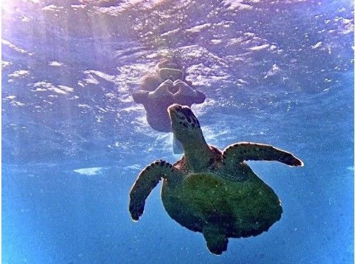 【沖縄・瀬底島】 ウミガメが棲む海でバナナボートで行くシュノーケリングツアー＆ジェットスキー＆マリン１種 ４Kカメラ撮影無料プレゼント♪の画像