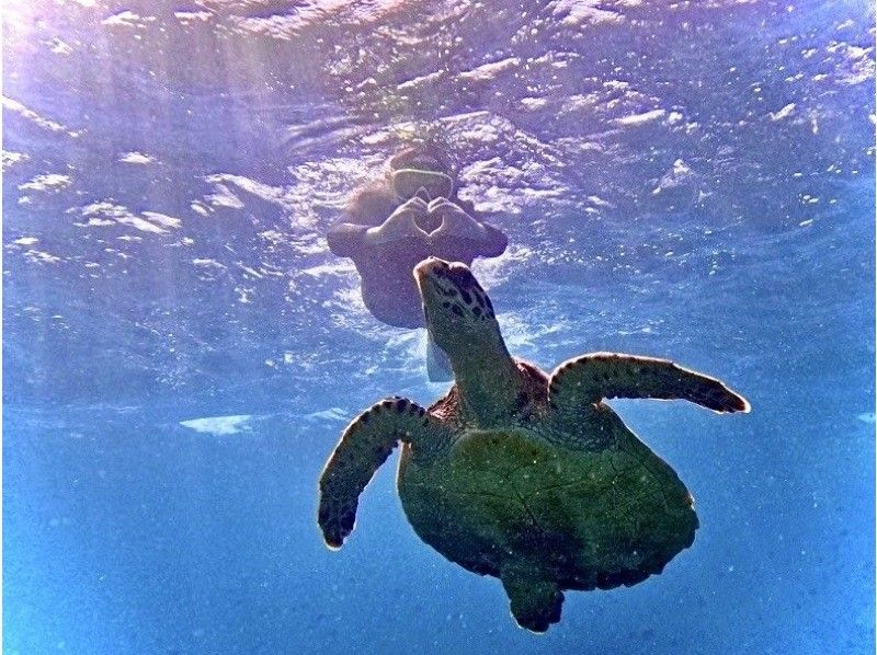 【沖縄・瀬底島】 ウミガメが棲む海でバナナボートで行くシュノーケリングツアー＆ジェットスキー＆マリン１種 ４Kカメラ撮影無料プレゼント♪の紹介画像