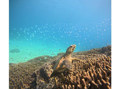 【沖縄・瀬底島】４Kカメラ（GoPro)撮影無料プレゼント♪　バナナボートで行くシュノーケリングツアー＆ジェットスキー＆マリン１種の画像