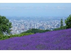 『まるっと満喫！札幌ラベンダー 6時間観光』の画像
