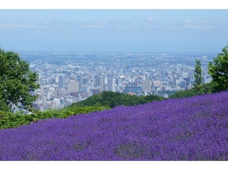 『まるっと満喫！札幌ラベンダー 6時間観光』の紹介画像