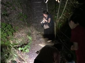 [Okinawa, Yanbaru] World Natural Heritage Hiji Falls Night Nature Observation | Chinese, English, Japanese guide (2 people)