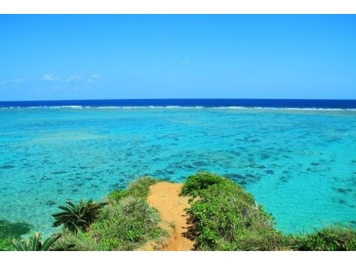 [Okinawa, Onna Village / Cape Maeda] A fully-chartered SUP cruising tour in the ocean with the highest transparency known as Maeda Blueの画像