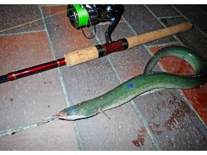 * Suitable for families * Held on a cool evening, how about making some summer vacation memories? Eel fishing in the brackish waters of the river mouthの画像