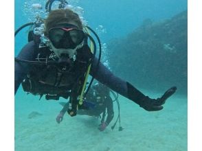 [Northern Okinawa, Gorilla Chop] Near the Churaumi Aquarium, beginners welcome! Experience diving from the beach! Pick-up and drop-off available!