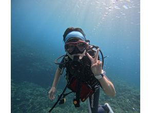 【오키나와 북부 · 고릴라 찹】 츄라 우미 수족관 근처, 초보자 OK! 해변에서 가는 체험 다이빙!の画像