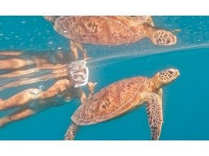 [Ishigaki Island] ★Limited to one group★ No need to swim?! Sea turtle snorkeling on a SUP✨ We are confident that you will say, "I'm glad I came here!"✨