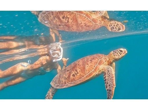 [Ishigaki Island] ★Limited to one group★ No need to swim?! Sea turtle snorkeling on a SUP✨ We are confident that you will say, "I'm glad I came here!"✨の画像