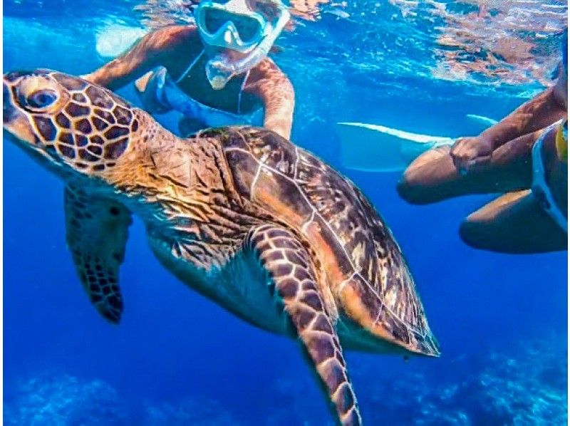 [Ishigaki Island] ★Tour limited to one group★ High chance of encountering sea turtles! ︎Snorkeling✨ I'm sure you'll be glad you came here!✨の紹介画像