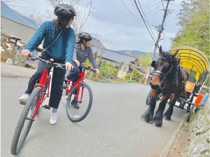 [โออิตะ/ยูฟุอิน] ทัวร์ปั่นจักรยานในชนบทจำกัดเพียง 4 กลุ่มต่อวันの紹介画像