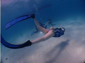 [Okinawa, Ishigaki Island] Experience skin diving with sea turtles and manta rays on this one-day tour ☆ Beginners and solo travelers are welcome in small groups ♪ Free long fin rentals available!の画像