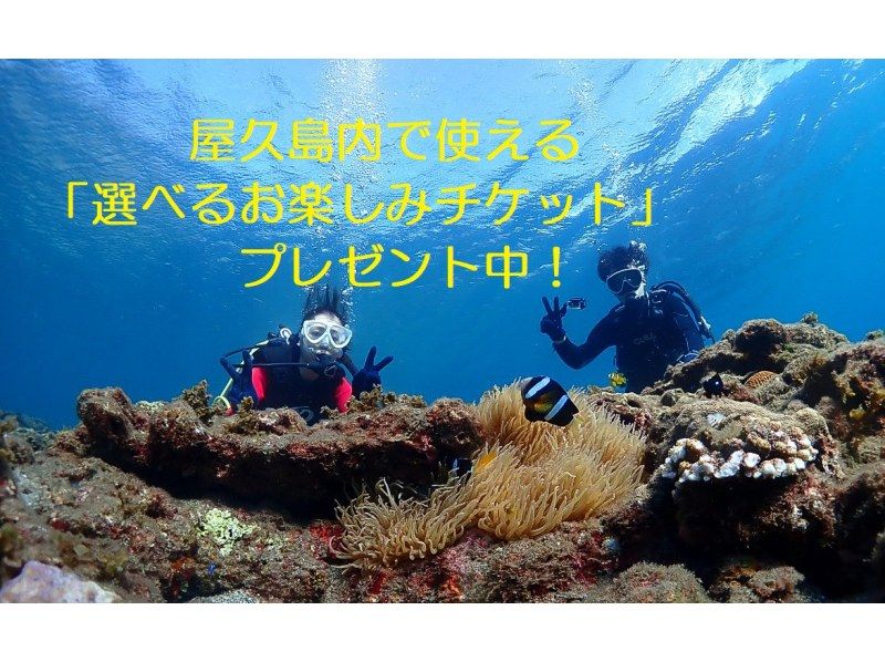 We are giving away "Selectable Fun Tickets" that can be used on Yakushima! Short course introductory diving ☆ Make the most of your time ☆ Free swimsuit rental ☆の紹介画像