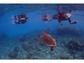 【鹿児島・屋久島】屋久島でシュノーケリング☆手ぶらでOK！ウミガメ探し☆到着日・離島日にも☆バスタオル・水着も無料貸出有り！