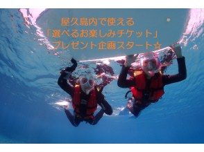 야쿠시마에서 사용할 수 있는 「선택할 수 있는 즐거움 티켓」선물중! 저렴한 ♪ 【스노클링 체험】 혼자서도 가족이라도!の画像