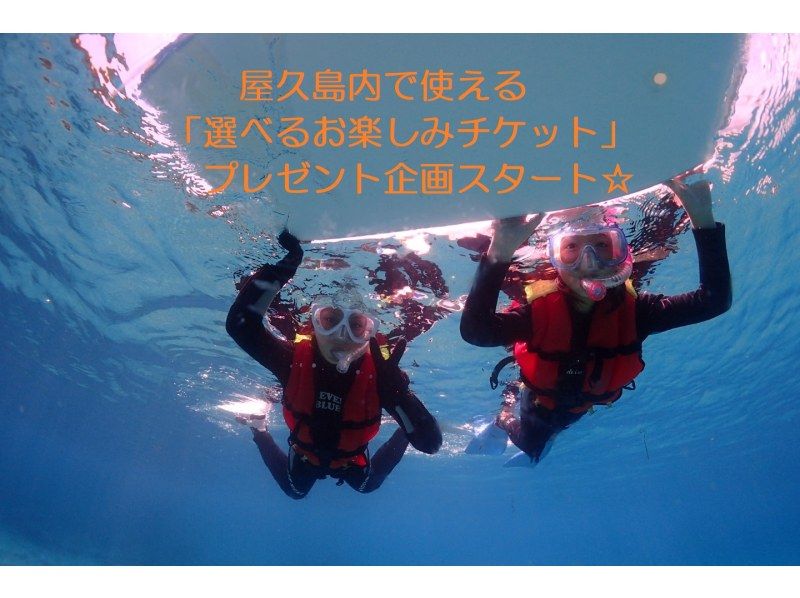เรากำลังแจก "ตั๋วสนุกที่เลือกได้" ที่สามารถใช้ในยาคุชิมะได้! ราคาไม่แพง♪ [ประสบการณ์การดำน้ำตื้น(Snorkeling)] เหมาะสำหรับเดี่ยวหรือครอบครัว!!の紹介画像