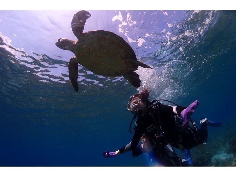 【北海道・SUP体験】透明度の高い支笏湖の湖面をクルージング！SUP体験（半日コース）の画像