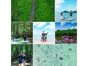 [Ishigaki Island / Limited to one group] Okinawa's first! Mangrove & ocean drone photography included! Natural monument mangrove & crystal clear ocean SUP/canoeing! Guided by a professional island photographer