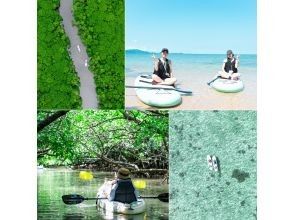 [Private tour for one group/SUP/canoe] Ishigaki Island's first! Mangrove & ocean drone/SLR photography included! "Tropical rainforest and clear blue ocean you can land on" guided by a professional island photographer!