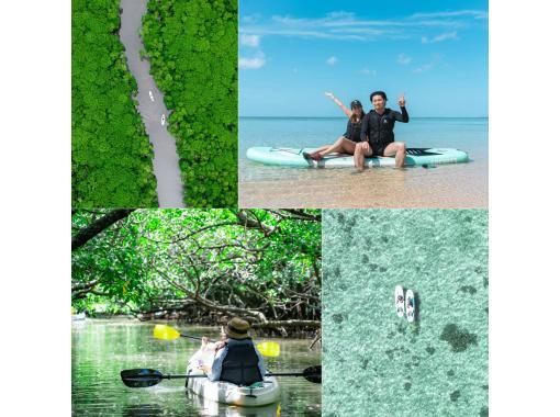 [Small group/SUP/canoe] Ishigaki Island's first! Mangrove & ocean drone/SLR photography included! "Tropical rainforest and clear blue ocean you can land on" guided by a professional island photographer!の画像