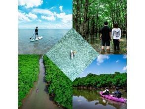 [Ishigaki Island / Limited to one group] Okinawa's first! Mangrove & ocean drone photography included! Natural monument mangrove & crystal clear ocean SUP/canoeing! Guided by a professional island photographer