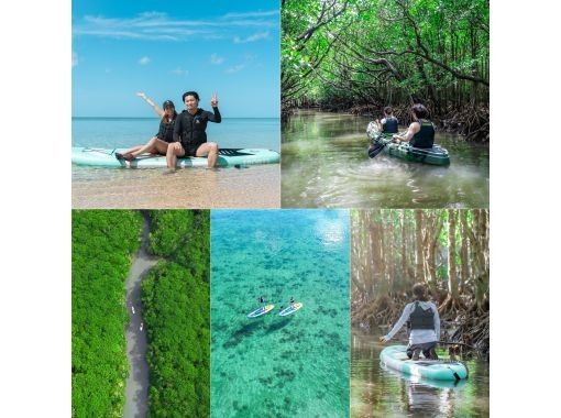 [Small group / SUP / Kayak] Ishigaki Island's first! Ocean & mangrove drone and SLR photography included! "Tropical rainforest and clear blue sea with landing" guided by a professional island photographerの画像