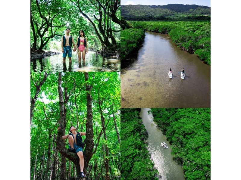 [Ishigaki Island / Limited to one group] Rainy season sale price! Natural monument "Fukido River" mangrove & crystal clear sea SUP / kayak! Ishigaki Island's first mangrove drone photography included!の紹介画像