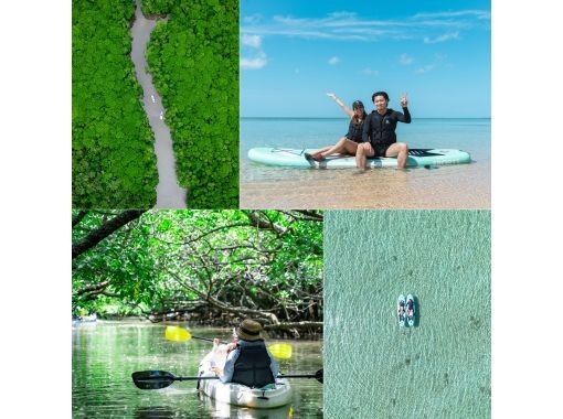 【少人数制/SUP・カヌー】石垣島初！マングローブ＆海ドローン・一眼レフ撮影付！『上陸できる熱帯雨林と青く透き通る海』島人プロカメラマン案内の画像