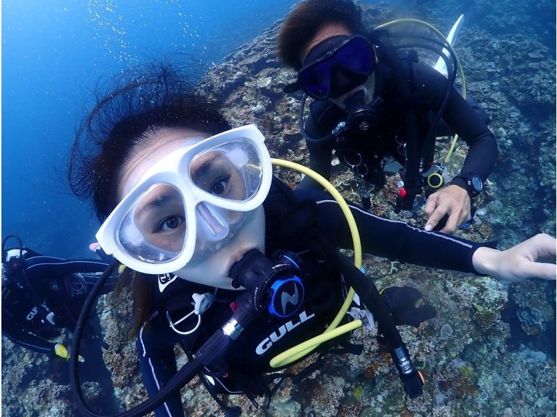 [Okinawa, Ishigaki Island] Fun Diving (FUNdiving) 2 dives for beginners to advancedの紹介画像