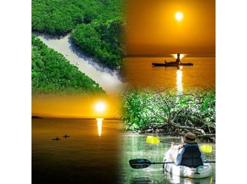 [Small group SUP/Kayak] Ishigaki Island's first! Superb sunset & natural monument mangrove drone and SLR camera photography included! Guided by a professional island photographer!の画像