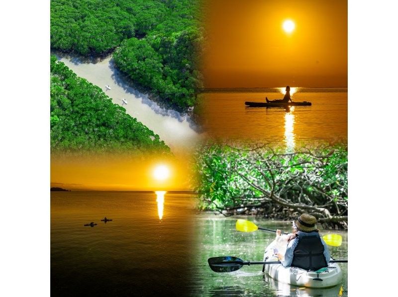 [Small group SUP/Kayak] Ishigaki Island's first! Superb sunset & natural monument mangrove drone and SLR camera photography included! Guided by a professional island photographer!の紹介画像