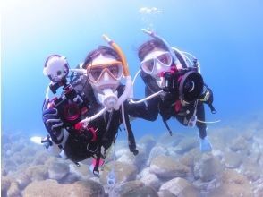 Spring sale underway [Wakayama/Shirahama] Campaign price! Beginner & blank diver support plan (2 boat dives & rental included)