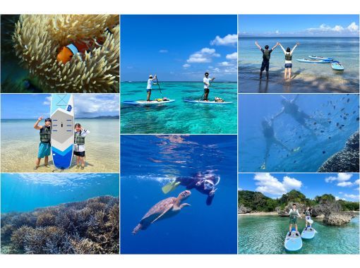 【１組様貸切】石垣島の海を半日で満喫！トロピカルSUP＆シュノーケリング！女性ガイドが担当/送迎・写真込み/手ぶら参加◎の画像