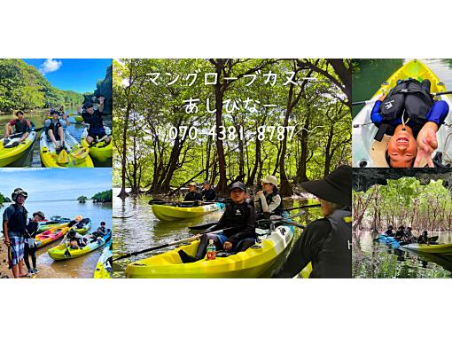 【沖縄・石垣島】宮良川マングローブカヌー体験【現地集合】【無料駐車場】【写真データ無料】【トイレ完備】【腰当シート付】【島人ガイド】の画像