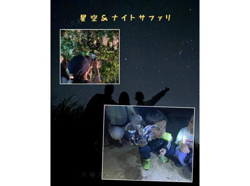 【沖縄・石垣島】星空☆ナイトサファリ【市街地送迎無料】星降る夜に南国のレアな生き物を探しに行こう！島人ガイドがご案内します！の画像