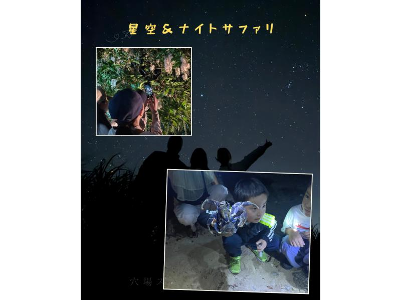 【沖縄・石垣島】星空☆ナイトサファリ【市街地送迎無料】星降る夜に南国のレアな生き物を探しに行こう！島人ガイドがご案内します！の紹介画像